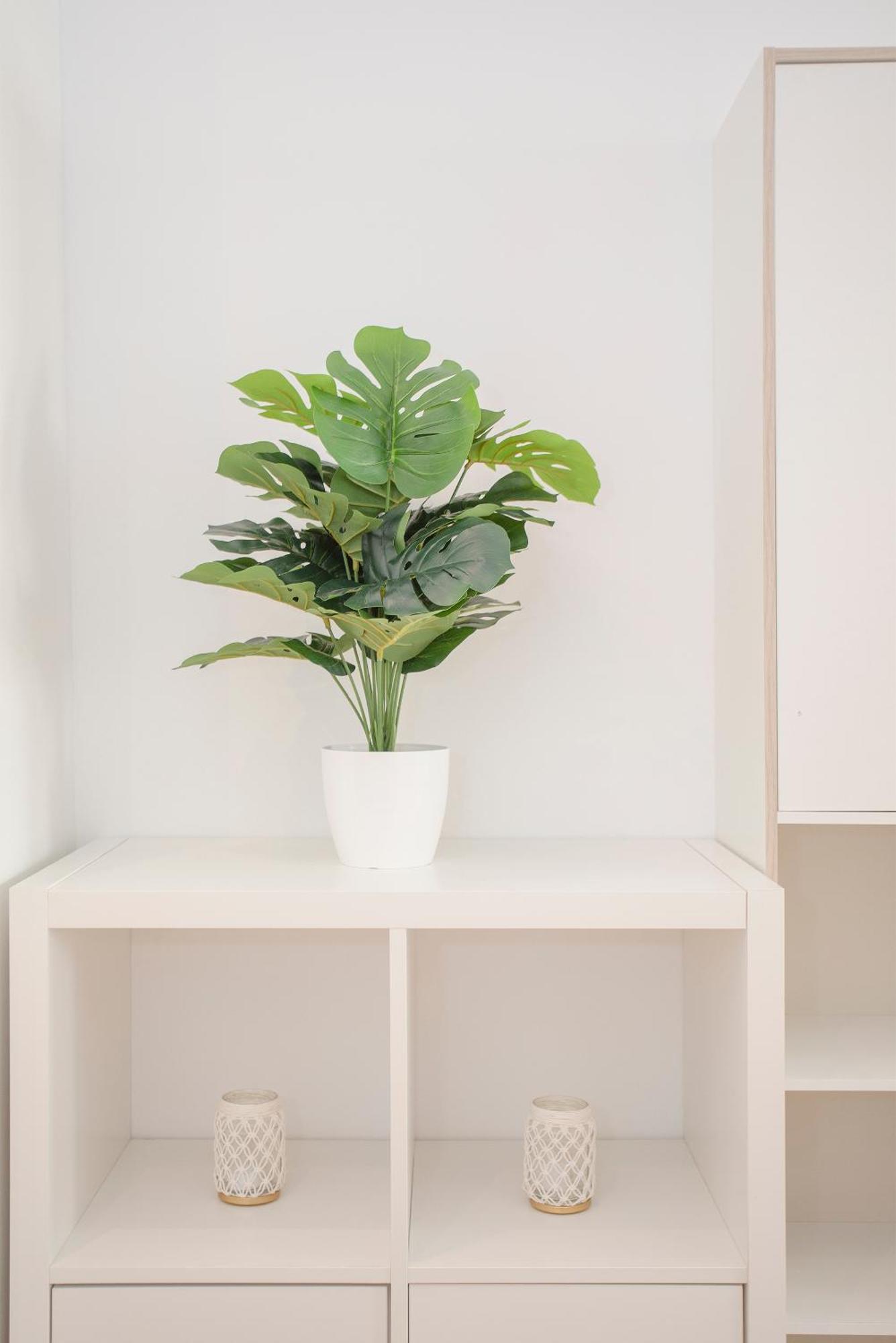 Liiiving In Matosinhos - Seaside Cosy Apartment *
